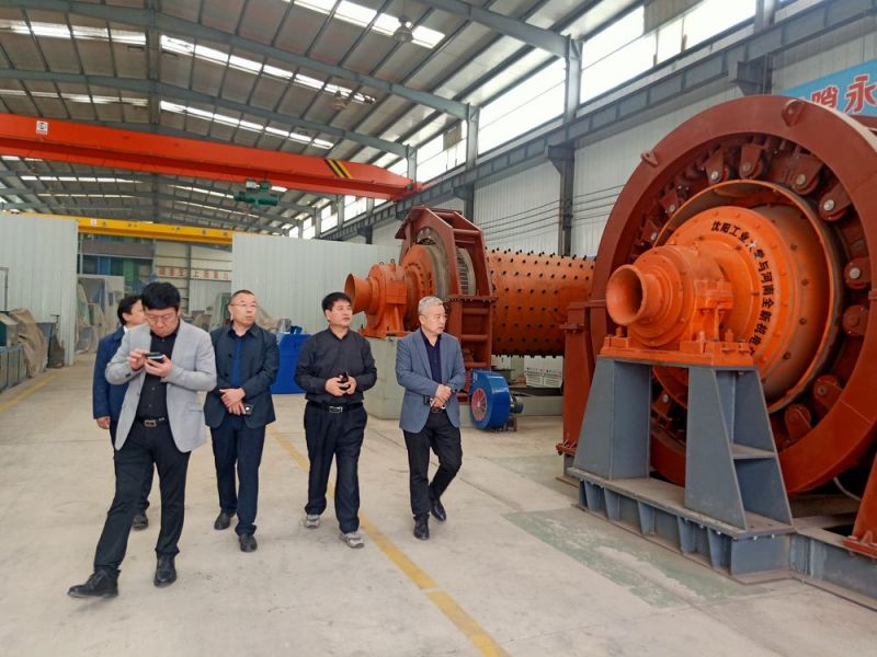 市領導來公司考（kǎo）察高低壓電機和永磁（cí）直驅（qū）球磨機